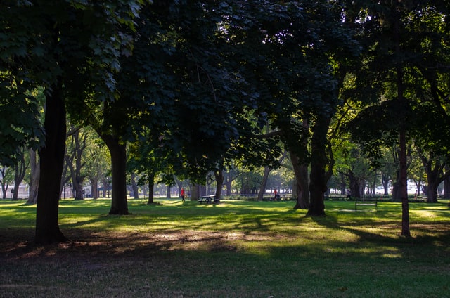 Toronto parks